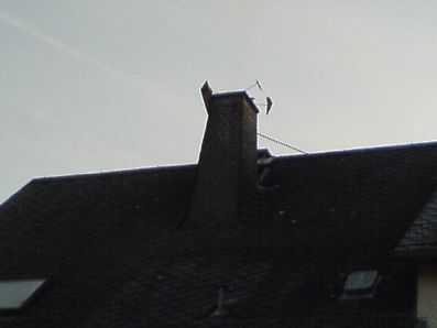 DSC00948