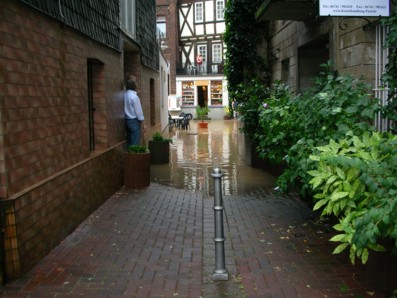DSCN0311