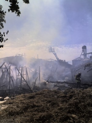 Dammscheid 1