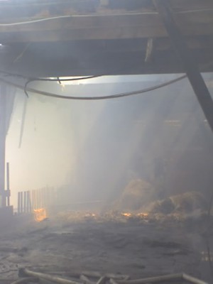 Dammscheid 9