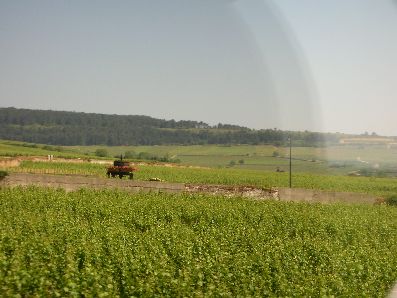 F55001
