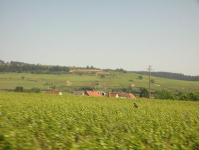 F55002