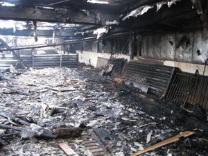 Foto 8
