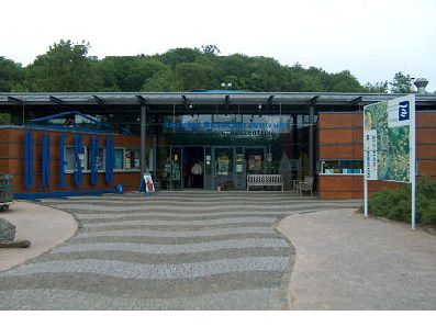 Image12