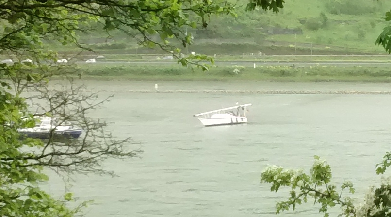 Segeljacht bei Kaub