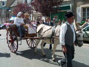 Stadt 12