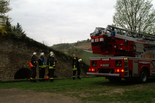 a29