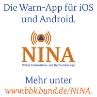 nina-banner-120px